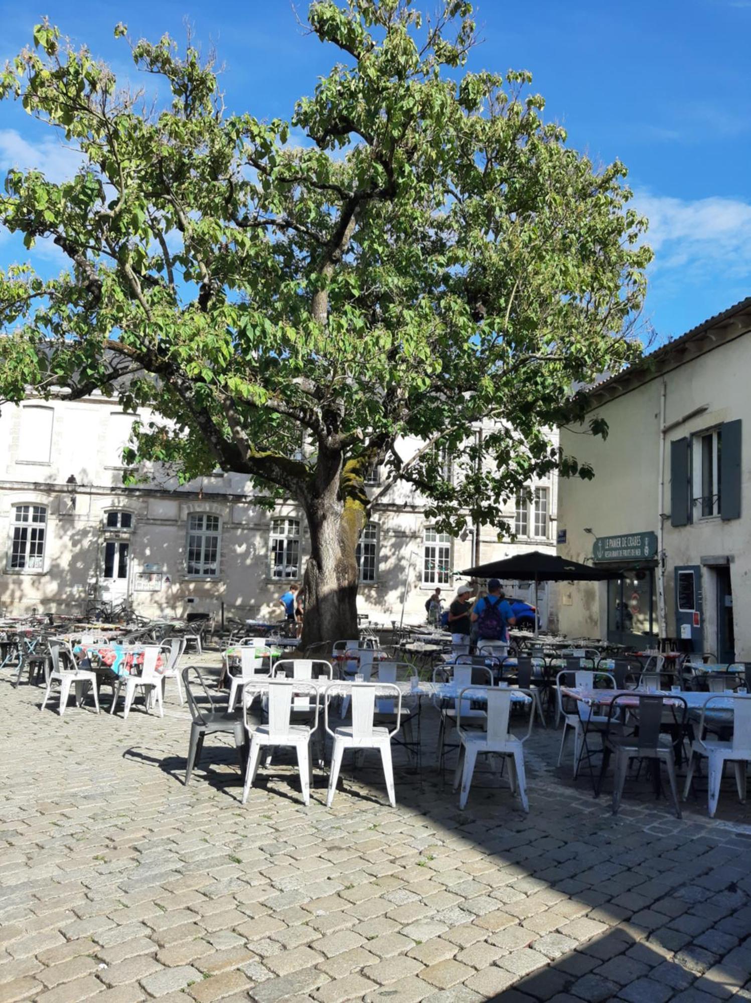 Appartamento Comtesse La Rochelle  Esterno foto